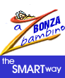 Bonzawebsites.com